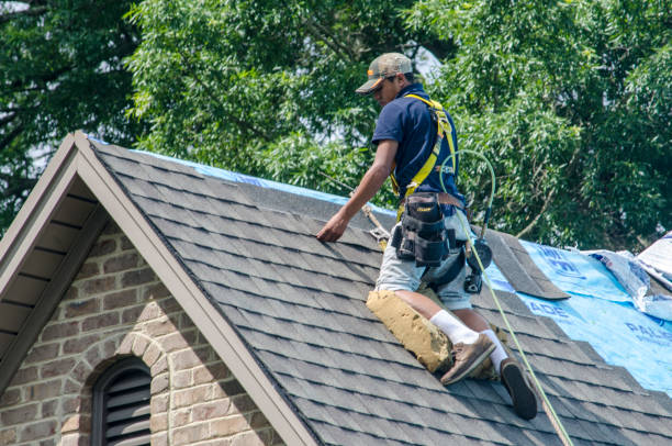 Best Roof Gutter Cleaning  in Stallion Springs, CA